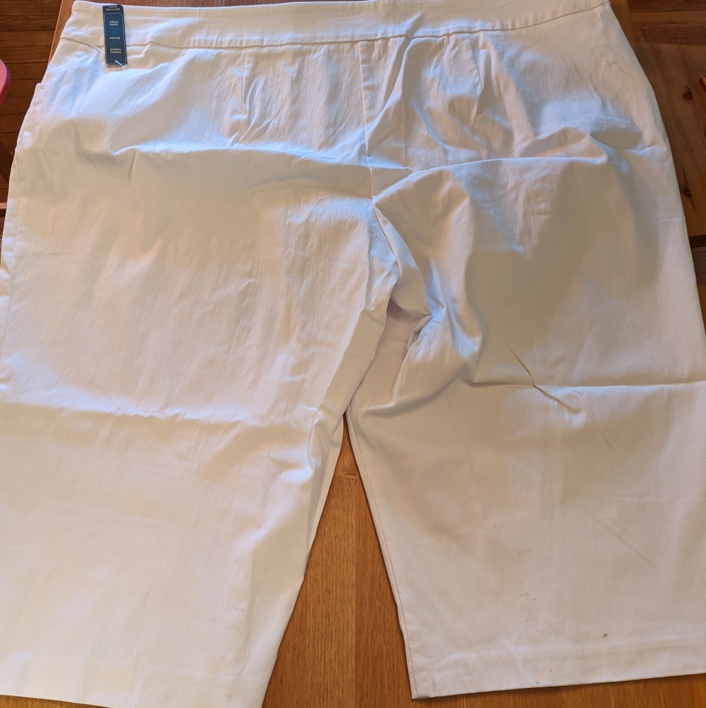 Plus Size Shorts